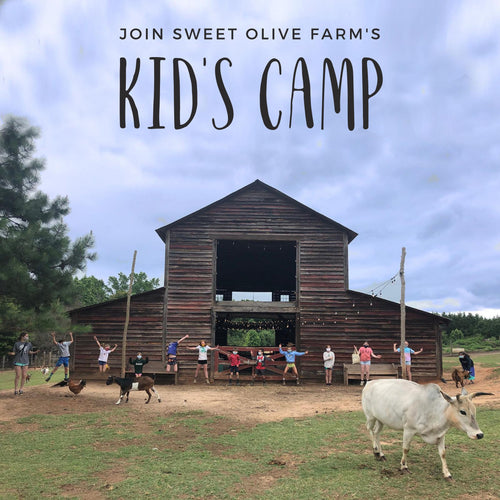 KIds' Farm Camp 2024 - June 3-7, 9am-3pm - Week 1
