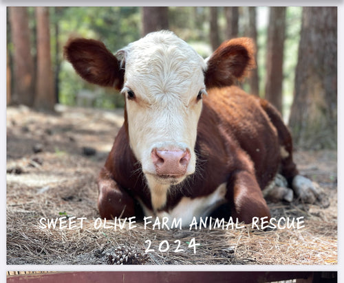 4 x 2024 Sweet Olive Farm Animal Rescue Calendar get 1 free