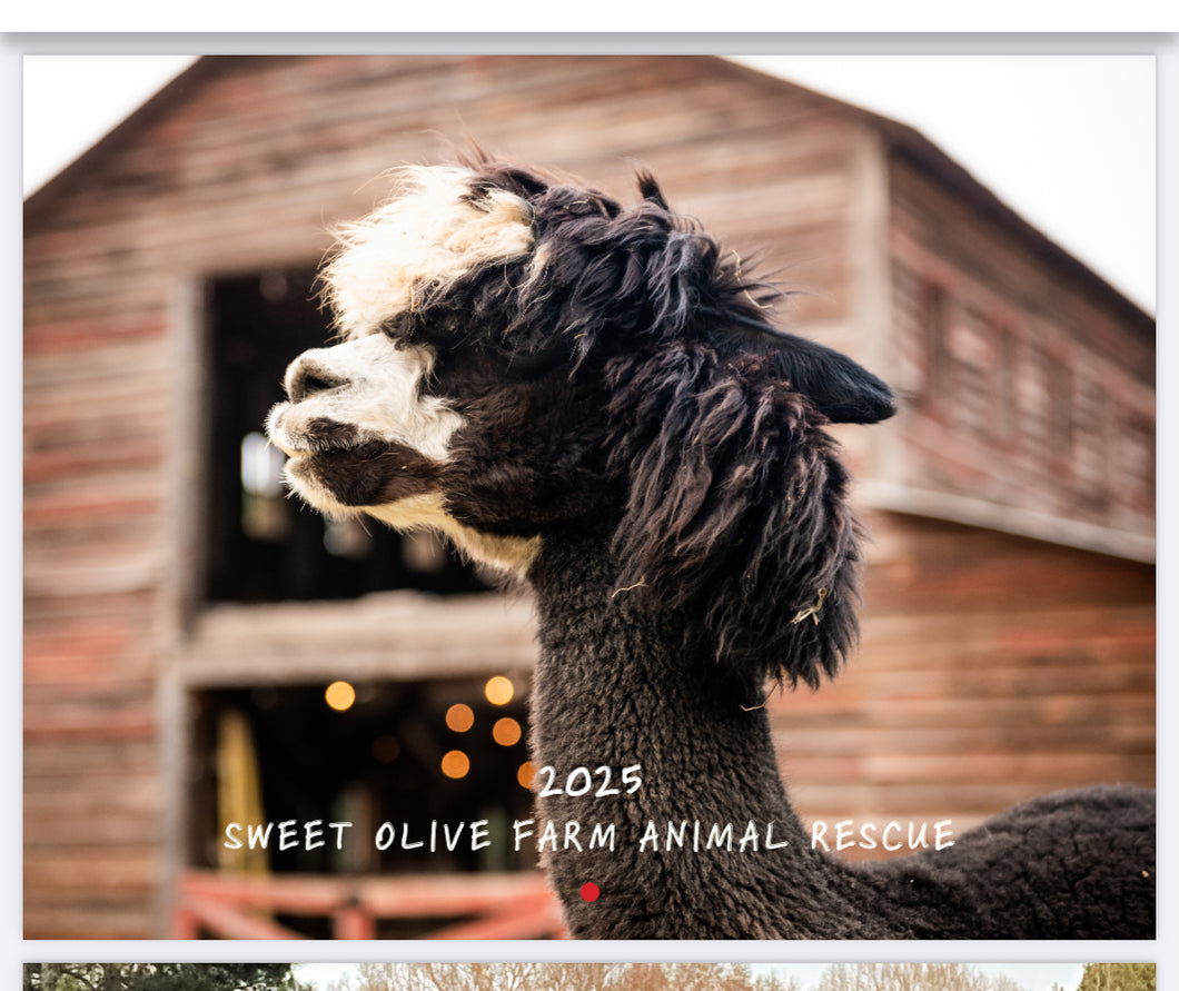 2025 Sweet Olive Farm Animal Rescue Calendar