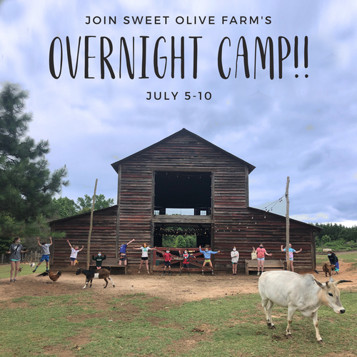 2026 Overnight Farm Camp - July 5-10 - Week 5