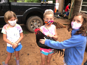 Kids' Farm Camp :: July 7- July 11 : 9a-3p - Week 5