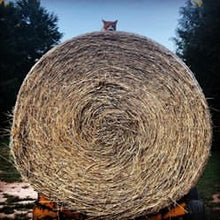 Load image into Gallery viewer, Hay Bale Donation
